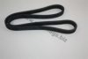 AUTOMEGA 30701980536 V-Ribbed Belts